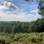 The view from Finchampstead Ridges
