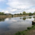 Dorney Wetlands
