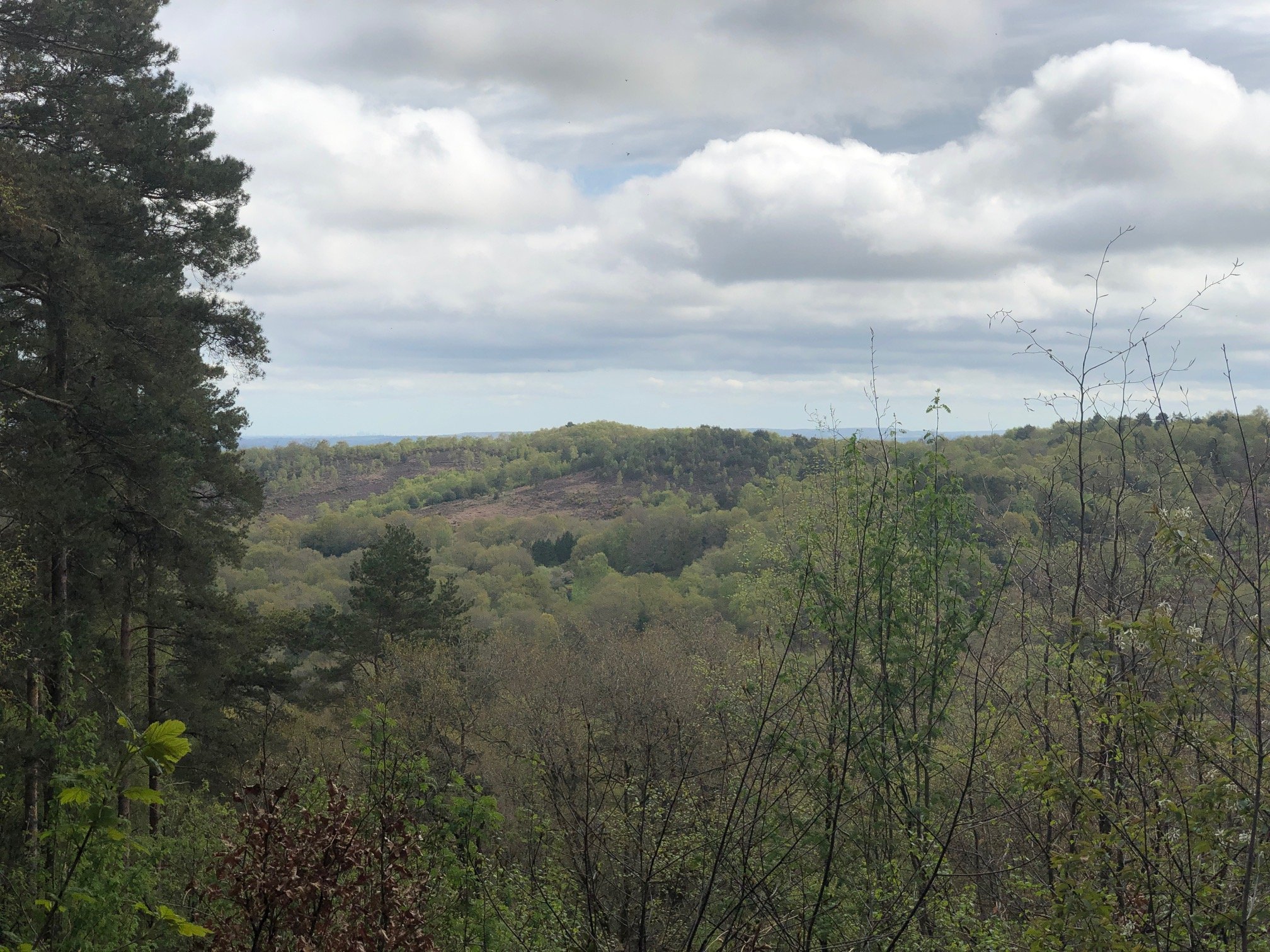 View Vantage Point