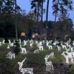 Christmas Lights Longhill Ascot