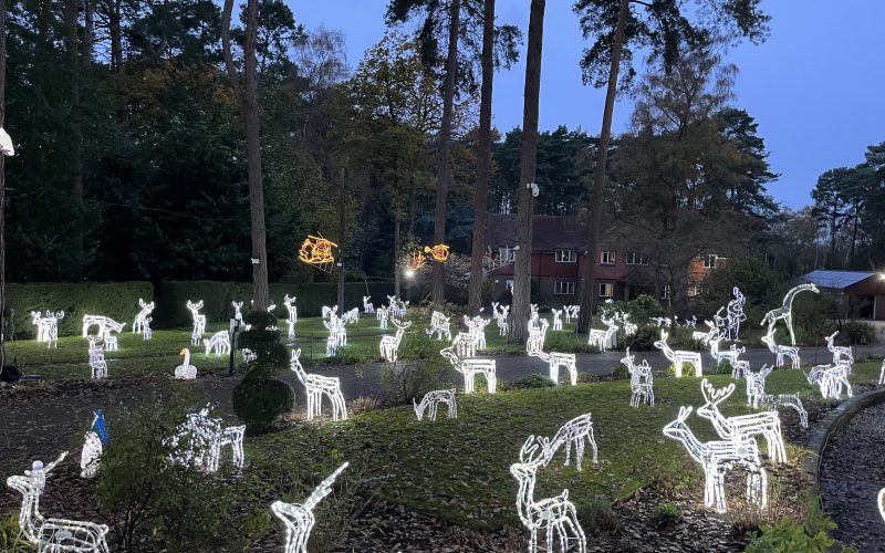 What’s on Guide between Christmas and New Year in Berkshire