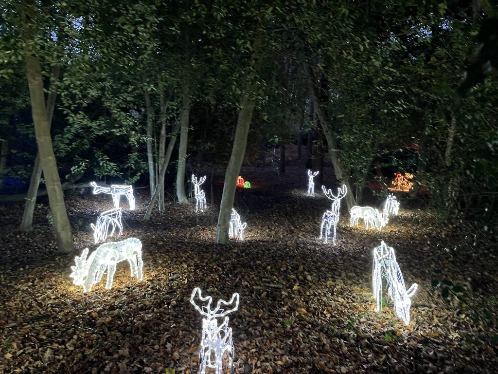 Christmas Lights Longhill Ascot 