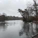 Longmoor Lake California Country Park