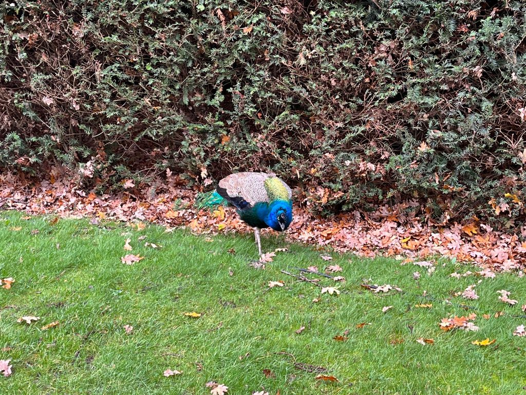 Warwick Castle