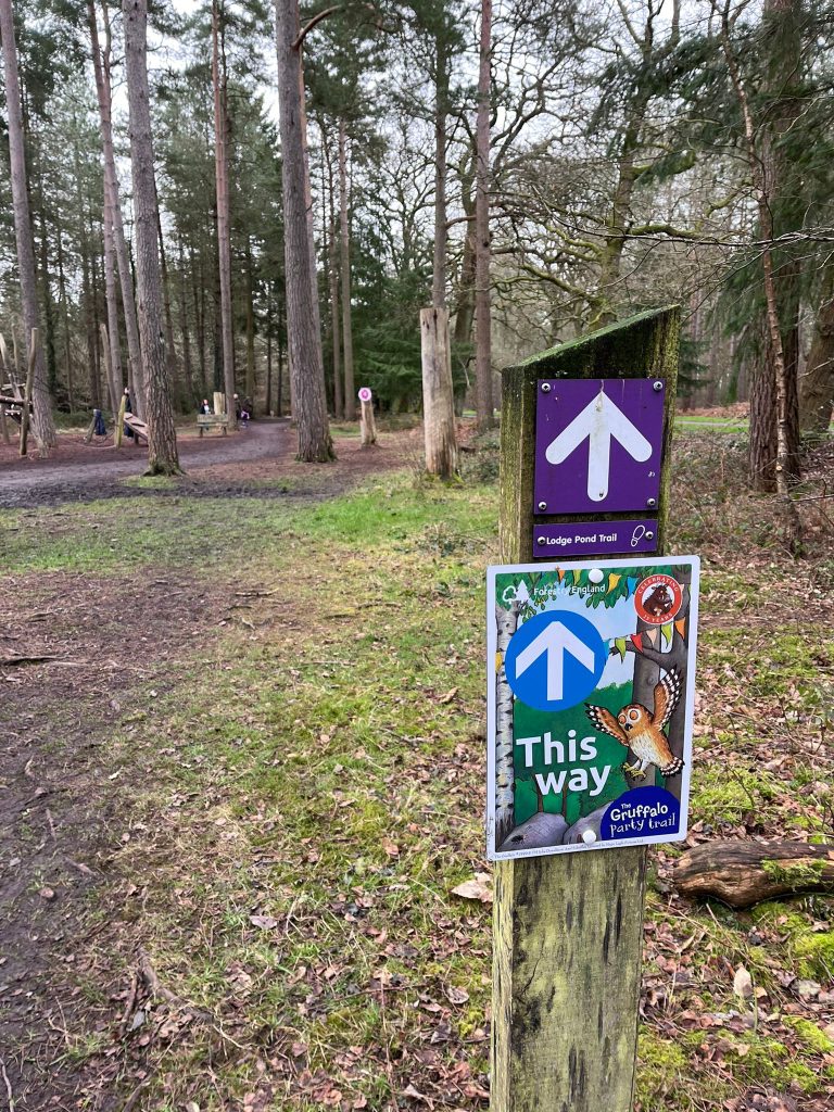 Gruffalo Party Trail - Alice Holt