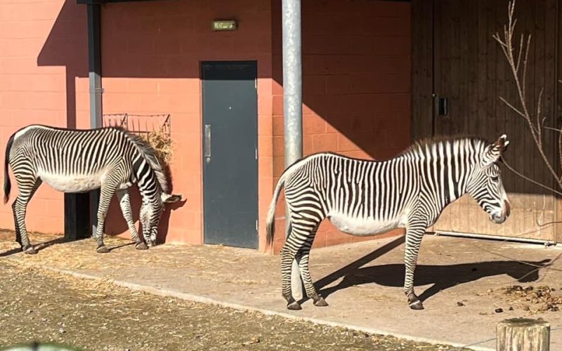 Zoos in the South East of England