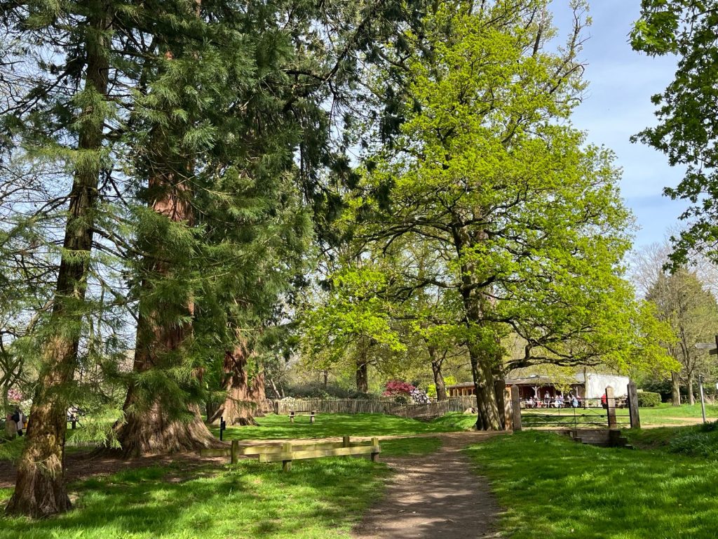 Langley Park Country Park