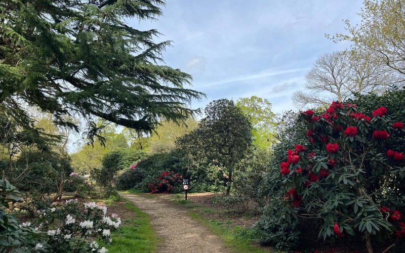 Langley Park Country Park in Buckinghamshire