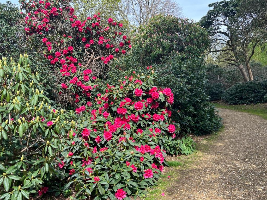 Langley Park Country Park
