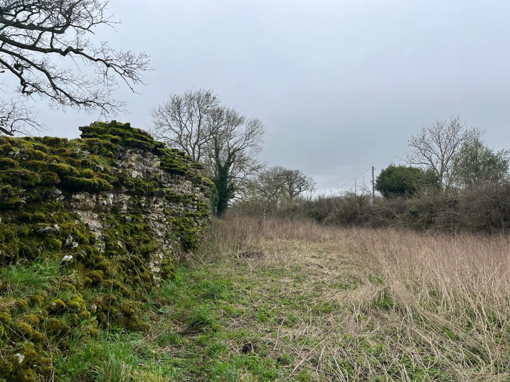 Silchester Roman City