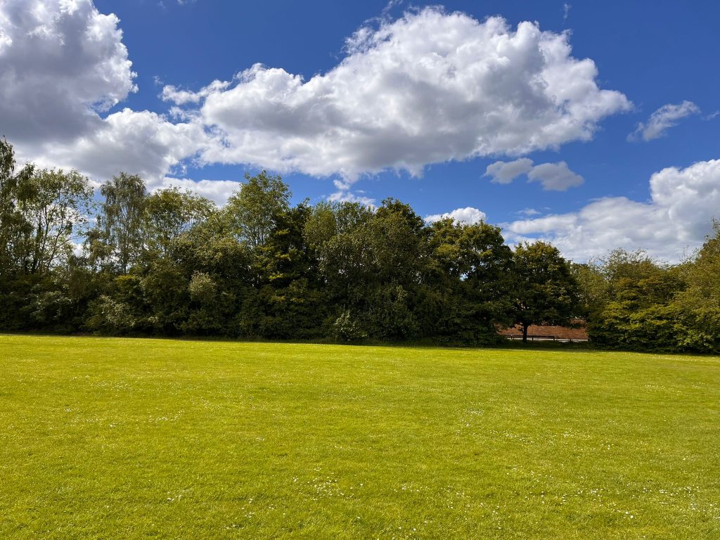 Farley Wood