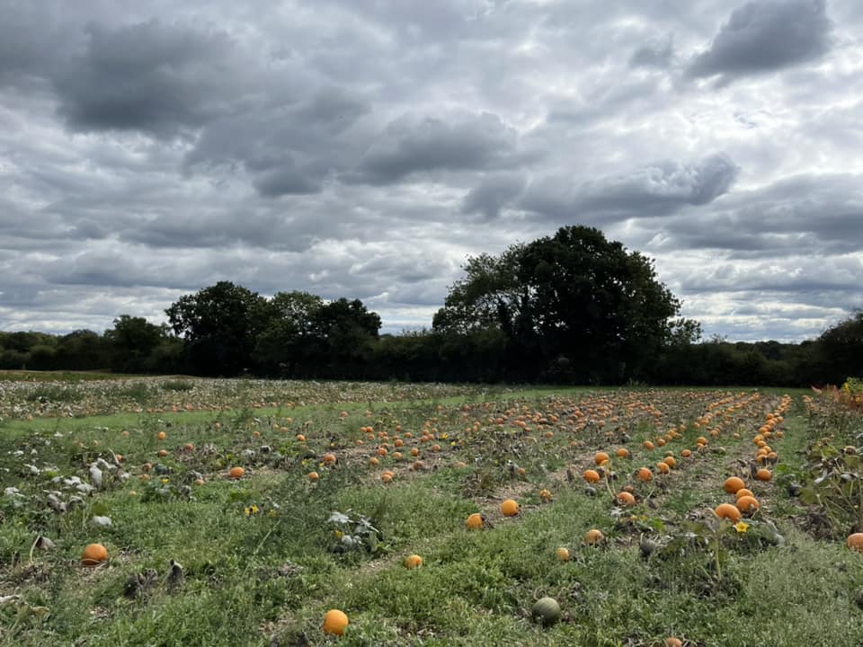 Odds Farm Park