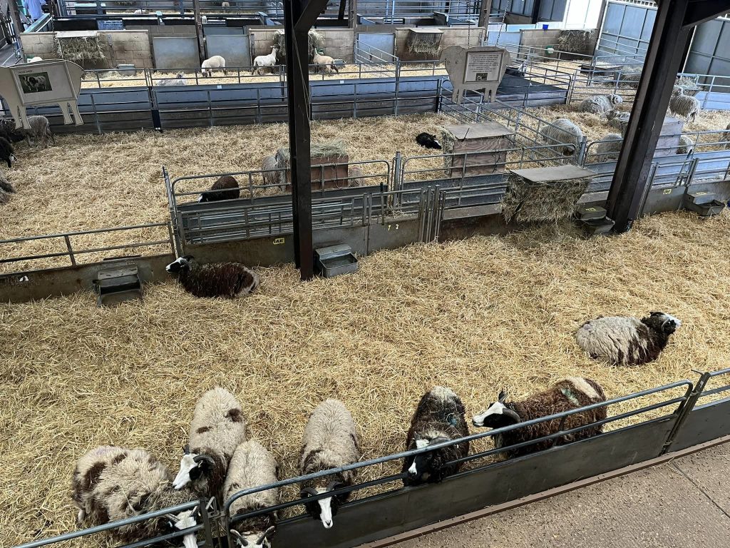 Odds Farm Park