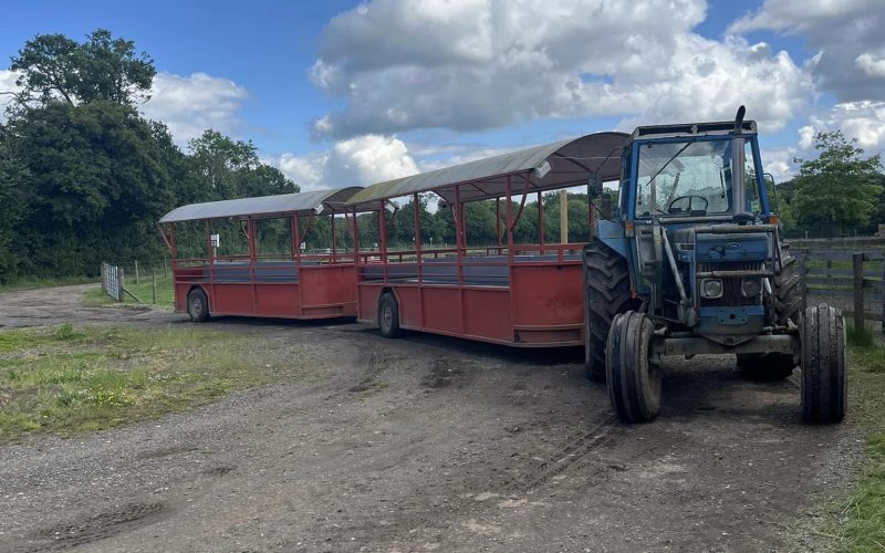 10 Things to do at Odds Farm Park