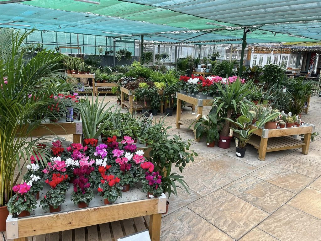 Toad Hall Garden Centre