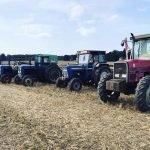 PLoughing Match Reeba