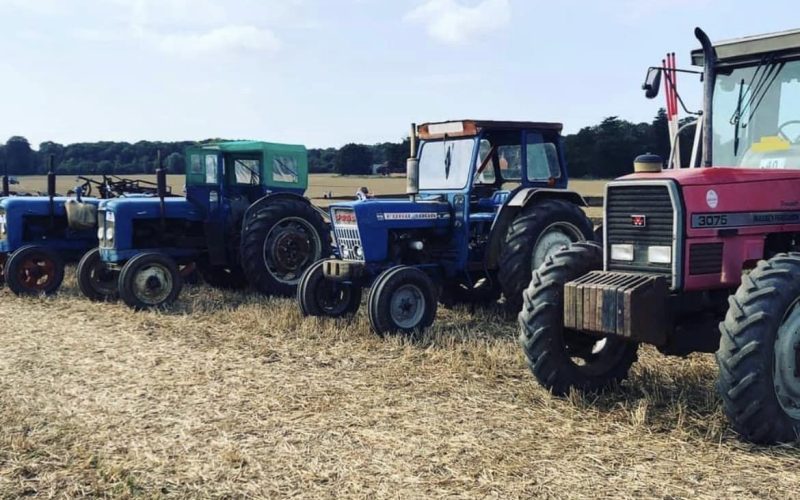Farm Shows and Ploughing Matches in Berkshire