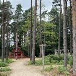 Bucklers Adventure Play Area