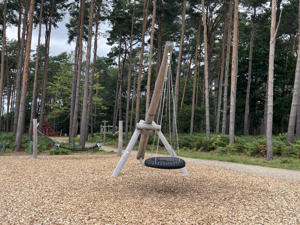 Bucklers Adventure Play Area Swing