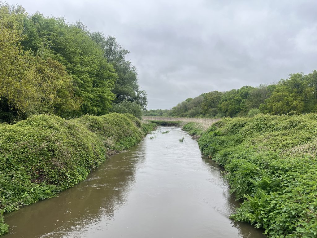 The Cut in Maidenhead