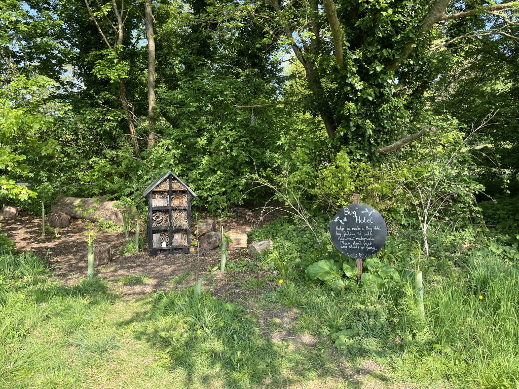 Bug House Runnymede National Trust