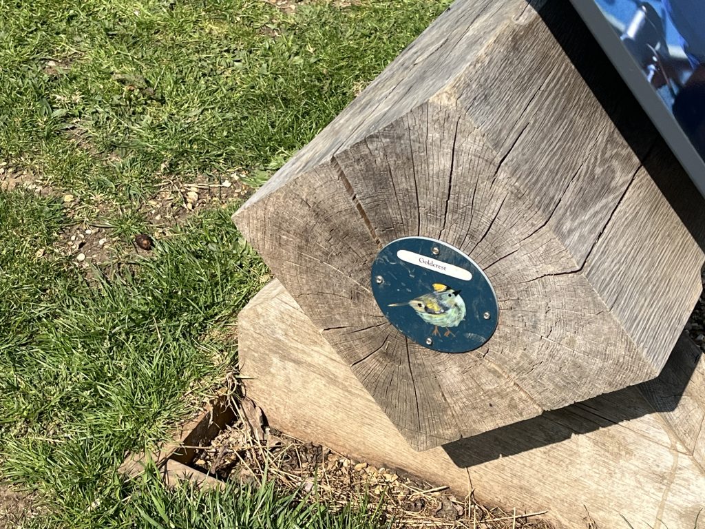 Bug Boards at Runnymede National Trust